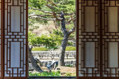 window