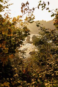 Scenic view of river against sky