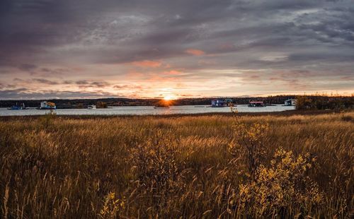 Scenic view of field against sky during sunset