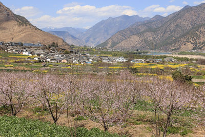 Scenic view of agricultural landscape against sky