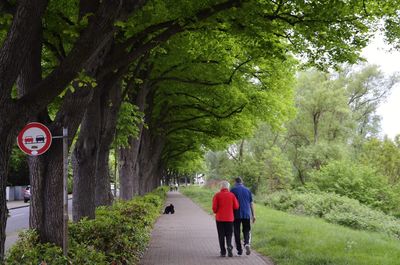 Rear view of a couple walking on road amidst trees