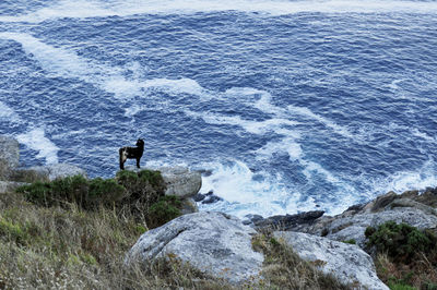 Man standing on cliff by sea against sky