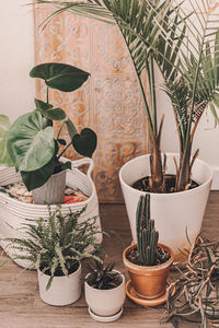 Close-up of potted plants on table