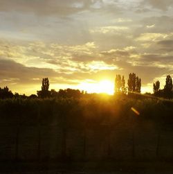 Sunset over landscape