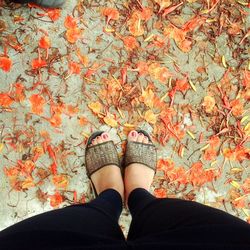 Low section of woman standing on autumn leaves