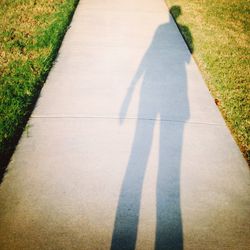 Shadow of people on grass