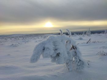 Scenic view of snow covered field against sky during sunset