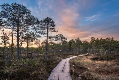 Trees on landscape against sky during sunset