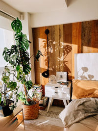 Potted plant by window at home