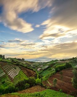 Scenic view of agricultural field against sky during sunset