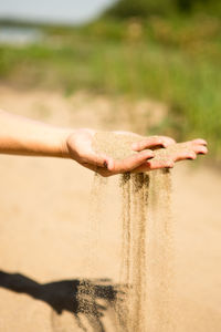 Close-up of hand holding stick on beach