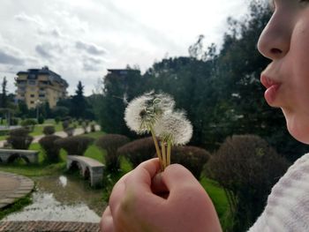 Cropped image of girl blowing dandelions at park