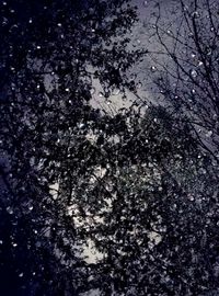 Full frame shot of tree