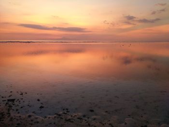 Scenic view of calm sea at sunset