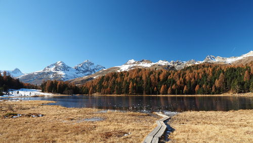 Scenic view of lake and mountains against clear blue sky, autumn at laj da staz, engadin