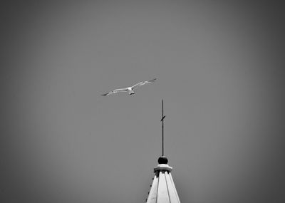 Low angle view of seagulls flying in sky