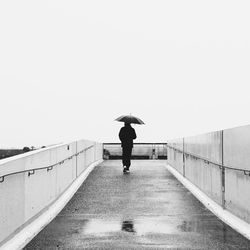 Rear view of man on water against clear sky