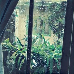 Close-up of raindrops on window