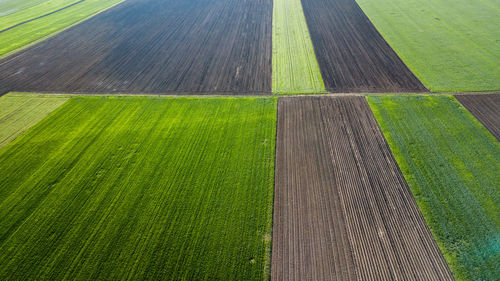 Full frame shot of agricultural field