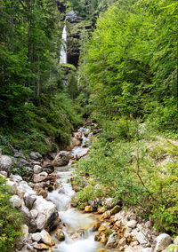 Stream flowing through rocks in forest