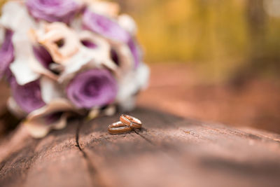 Close-up of pink rose on table