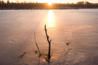 Scenic view of snow covered land during sunset