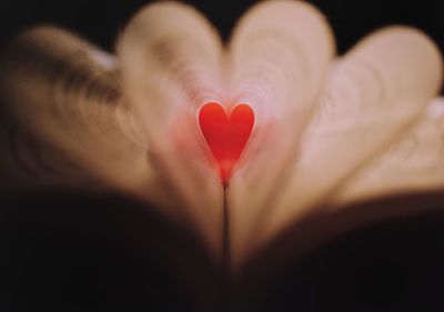 Close-up of hand holding heart shape against black background