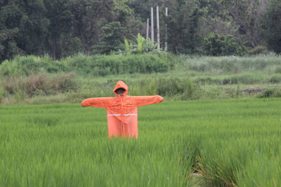 Scarecrow on agricultural field