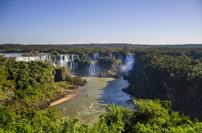 Scenic view of river amidst trees against clear sky