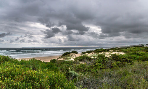 View of beach against cloudy sky