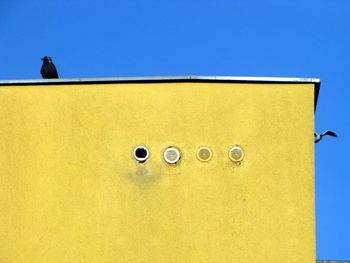 Low angle view of bird on wall against clear sky