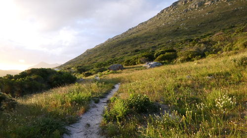 Scenic view of road amidst field against sky