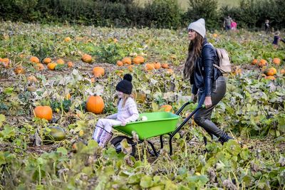 Rear view of woman with pumpkins in farm