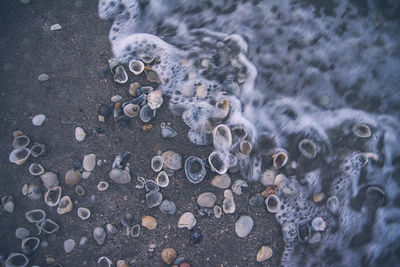 High angle view of raindrops on street