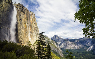 Low angle view of trees on mountain against sky