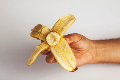 Close-up of hand holding fruit against white background