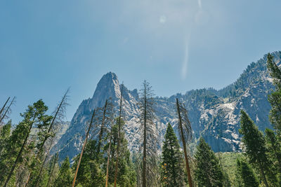 Views of yosemite national park in the summer in northern california.