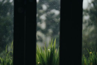 Close-up of raindrops on glass window