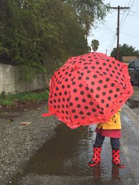 Rear view of woman holding umbrella