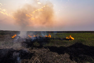 Scenic view of fire on field against sky