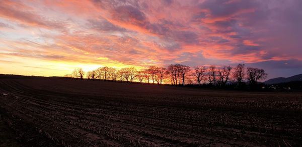 Scenic view of field against sky during sunset