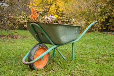 A garden steel robust wheelbarrow with garden garbage. concept preparing garden for winter season