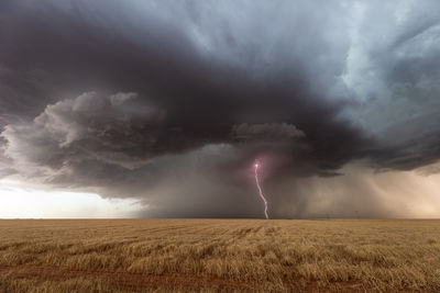 Thunderstorm with lightning and dark storm clouds over a field in texas