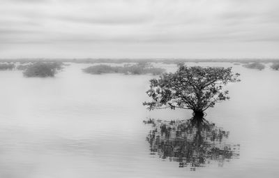 Scenic view of lake against cloudy sky