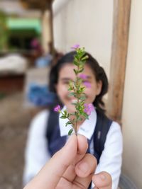 Cropped hand holding flower by young woman