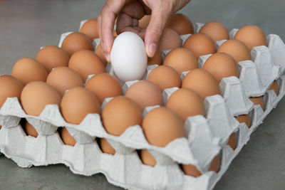 Close-up of hand holding eggs in container