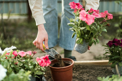 Midsection of man holding potted plant