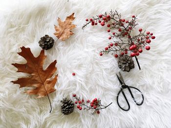 High angle view of dried berry and leaf on table