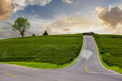 Panoramic shot of road amidst field against sky