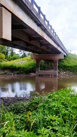 Bridge over river